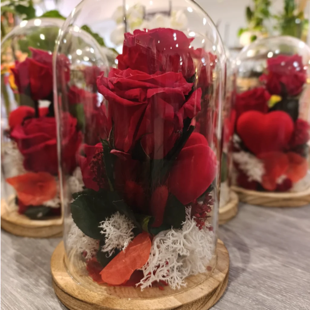 Rose éternelle présentée sous une cloche en verre